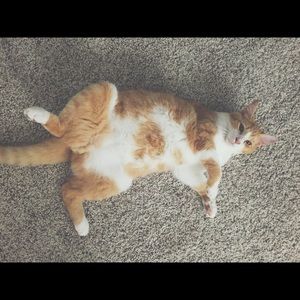 Meet your Posher, Tiffany